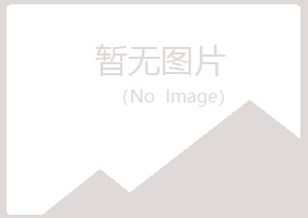 西岗区白山机械有限公司